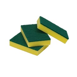 SCOURER &amp; SPONGE GREEN &amp; GOLD 10’S