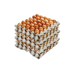 PACE EGGS 15 DOZEN TRAY 180 EGGS (600G)