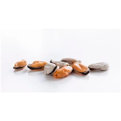 MUSSEL MEAT MEDIUM (1KG)