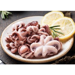 BABY OCTOPUS FROZEN 40/60 (1KG)