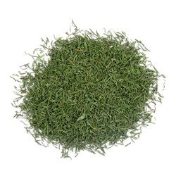 DILL TIPS (1KG)