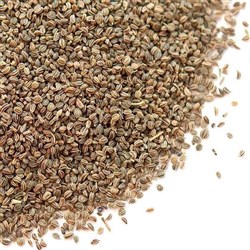 CELERY SEEDS (1KG)