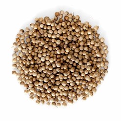 CORIANDER SEED (1KG)