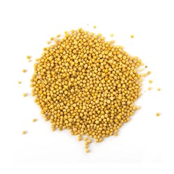 YELLOW MUSTARD SEED (1KG)