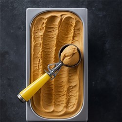 GOURMET CAFFINE CITY COFFEE GELATO (5L)