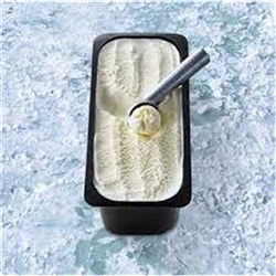 GOURMET VANILLA BEAN ICE CREAM (5L)