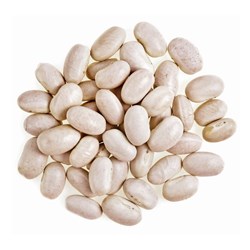 GREAT NORTHERN BEANS (1KG)
