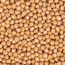 CHICK PEAS DRIED (1KG)
