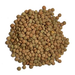 GREEN/BROWN LENTILS (1KG)