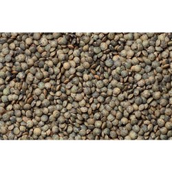 PETITE VERTE LENTILS (1KG)