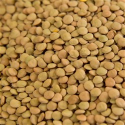BROWN/GREEN LENTILS LAIRD (25KG)