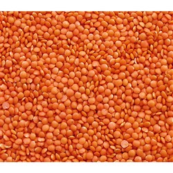 RED LENTILS (25KG)