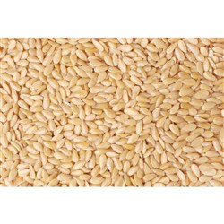 WHITE SESAME SEEDS (1KG)