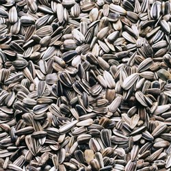 SUNFLOWER SEEDS (1KG)