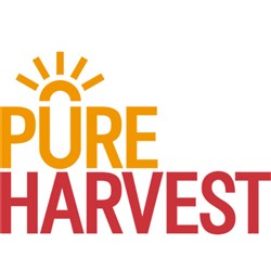 PURE HARVEST TAMARI SOY SAUCE ORGANIC GLUTEN FREE (15L)