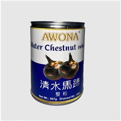 WATER CHESTNUTS (565G)