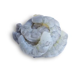 PRAWN MEAT 31/40 RAW NO TAIL (1KG)