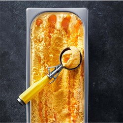 MANGO MAGNIFICENT ICE CREAM (5L)