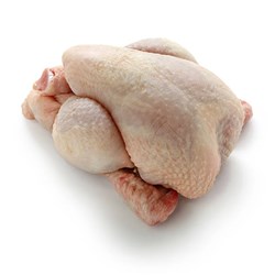 LUV A DUCK POUSSIN #5 (EACH)