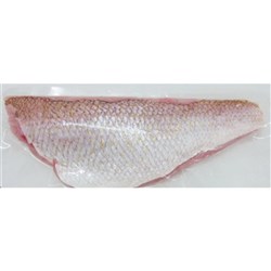 GOLDBAND SNAPPER SKIN-ON FILLETS 300/500 (5KG)