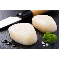 SCALLOPS ROE OFF 20/40 (1KG)