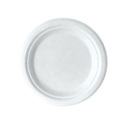 SUGARCANE PLATES 9&quot; 50&#39;S