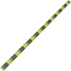 REGULAR BAMBOO PAPER STRAWS 250’S