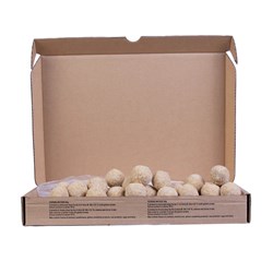 VISCO PORCINI &amp; TRUFFLE ARANCINI BALLS (65 X 30G)