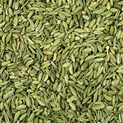 FENNEL SEED (500G)