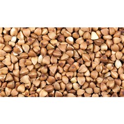 ORGANIC BUCKWHEAT KERNELS (25KG)