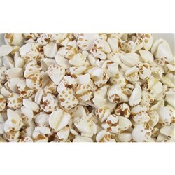 ORGANIC PUFFED BUCKWHEAT (75G)