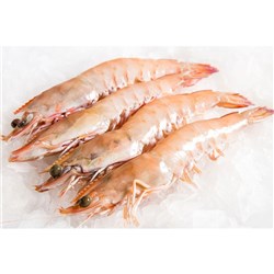 RAW WHOLE PRAWNS QLD OCEAN KING U10 (5KG)
