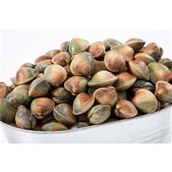 COCKLES/CLAMS 40/60 (1KG)