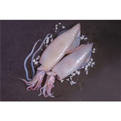 LOLIGO WHOLE CLEANED BABY SQUID 10-15CM (1KG)