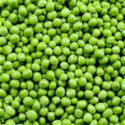 ELGIN ORGANIC PEAS (10KG)