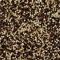 TRI-COLOUR QUINOA (25KG)
