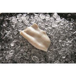 TOP SAIL U5 PINECUT TENDERISED SQUID FILLET (5KG)