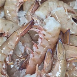 AUSTRALIAN KING PRAWNS LARGE (5KG)