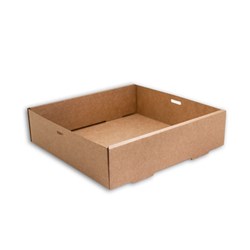TAILORED PACKAGING SMALL KRAFT CATERING BOX 100’S