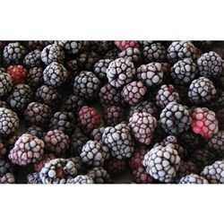 ELGIN ORGANIC BLACKBERRIES (12KG)