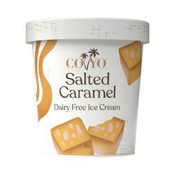 COYO SALTED CARAMEL ICE CREAM 500ML (6)