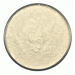 ORGANIC BUCKWHEAT FLOUR BULK (15KG)