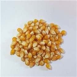 POPPING CORN (1KG)