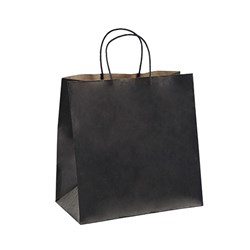 DETPAK SMALL BLACK TWIST HANDLE RECYCLED CARRY BAG 500’S