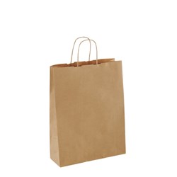 DETPAK SMALL TWIST HANDLE RECYCLED CARRY BAG 250’S