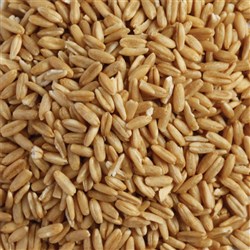 OAT KERNELS GROATS (20KG)
