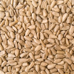 TRUMPS ORGANIC SUNFLOWER KERNELS (5KG)