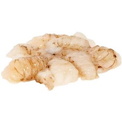 PACIFIC WEST BUG MEAT RAW B GRADE (1KG)