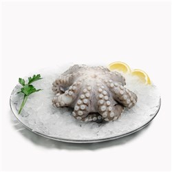 GIANT OCTOPUS WHOLE CLEANED FLOWERED 500/1000G APPROX 800G {PRICE PER KG}