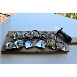PEARL OYSTERS IN FULL SHELL MEDIUM 4-5CM (10 DOZEN)